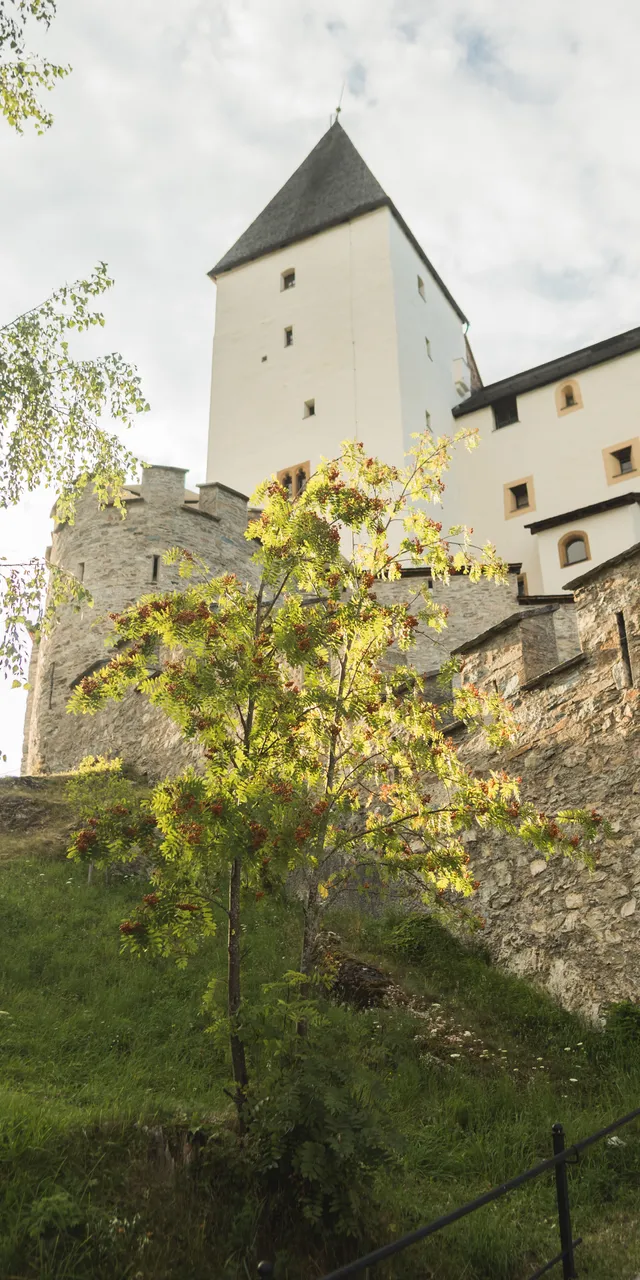 2018-07-27_Hohenwerfen-Mauterndorf_1346.jpg