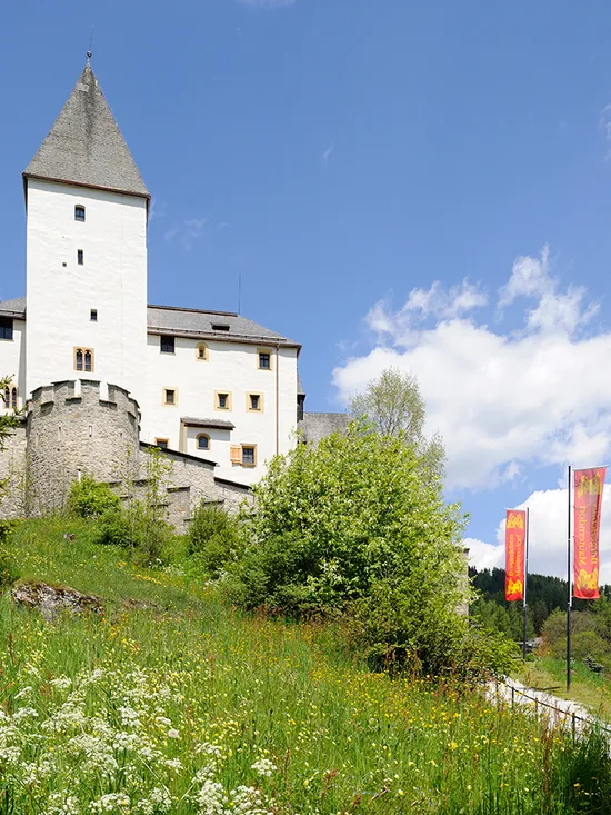 burg-mauterndorf-eingang.jpg