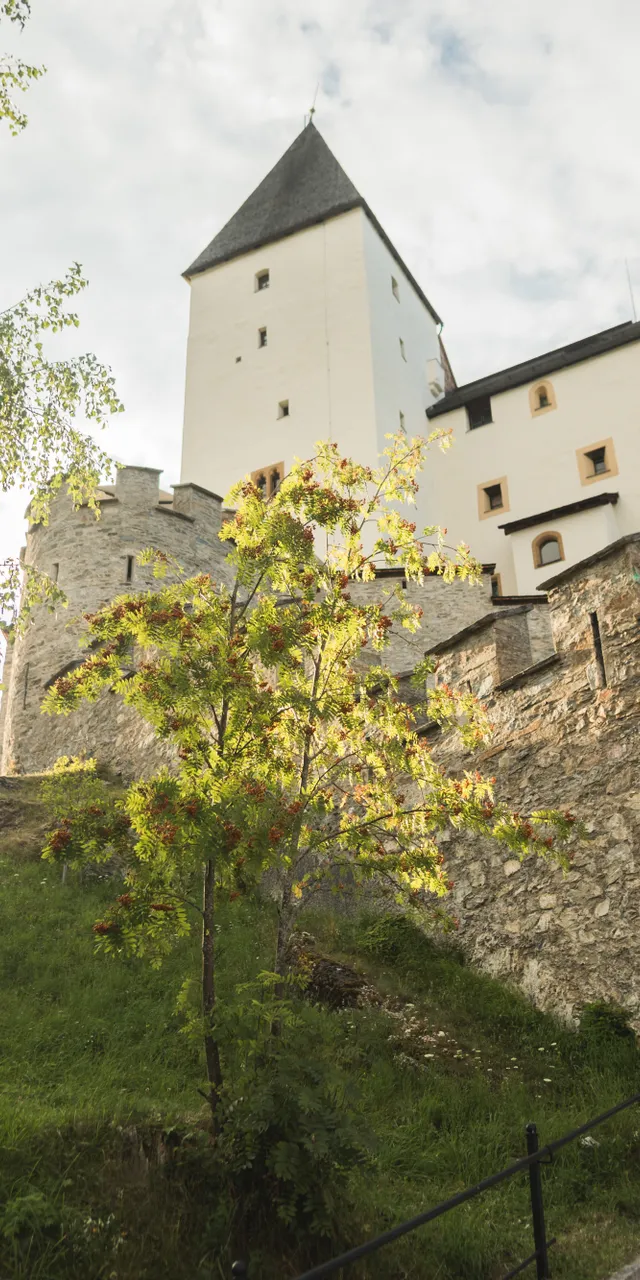 2018-07-27_Hohenwerfen-Mauterndorf_1346.jpg