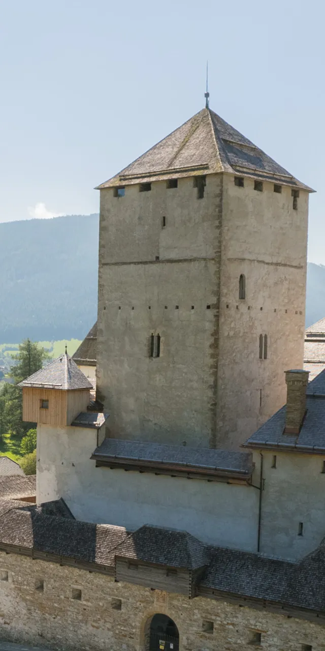 Mittelalterliche Burg in einem alpinen Dorf umgeben von Wald und Bergen