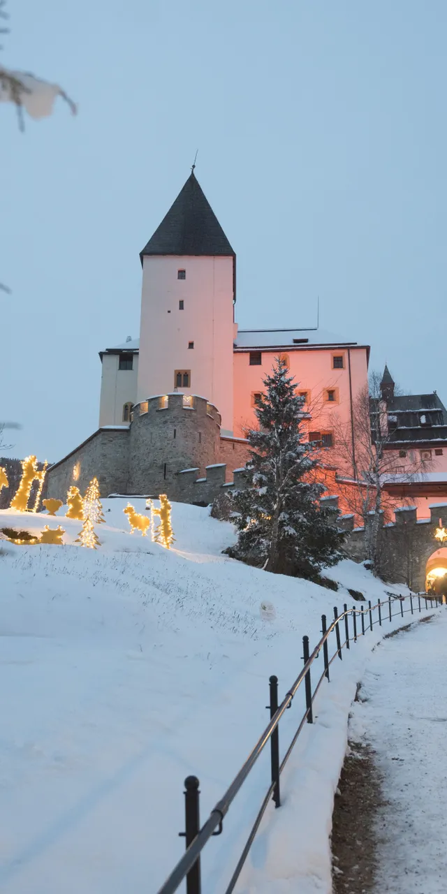 2024-12-07_SalzburgerBurgenSchloesser_BurgMauterndorf_Adventmarkt_3085.jpg